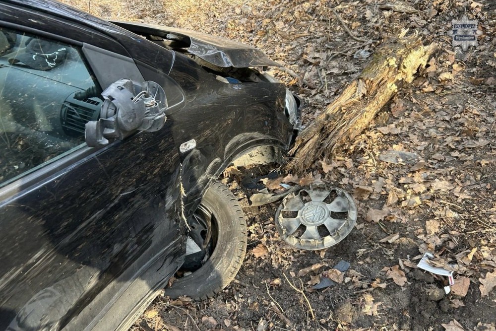 Groźny wypadek na ulicy Mikołowskiej. Kierowca pod wpływem alkoholu rozbił auto na drzewach