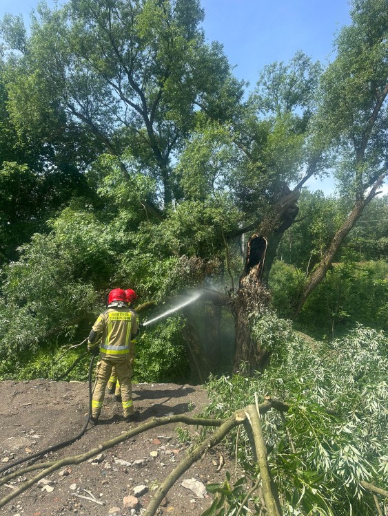Nawałnica nad Mysłowicami. Strażacy interweniowali sześciokrotnie